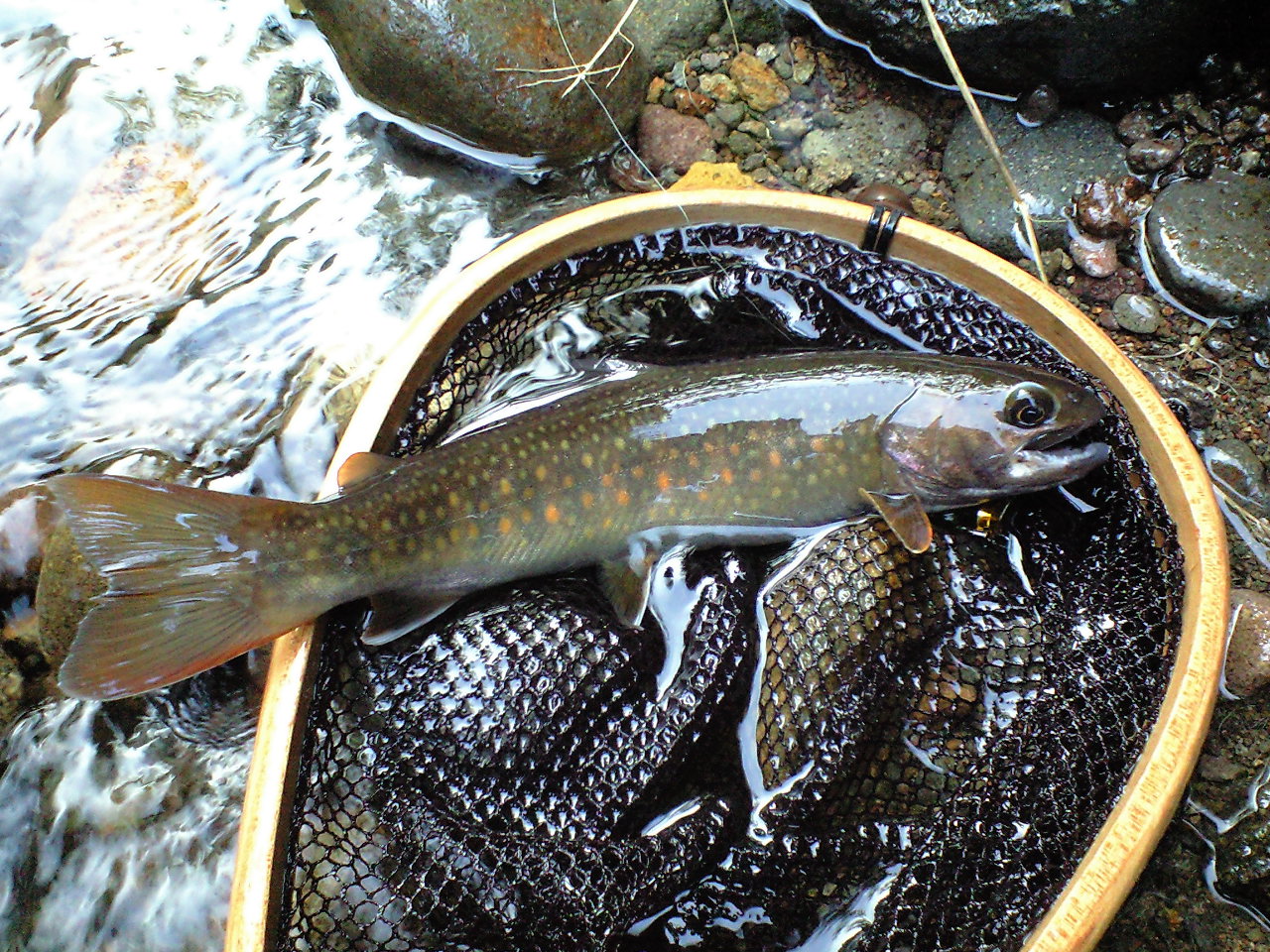 a0093677_224251.jpg