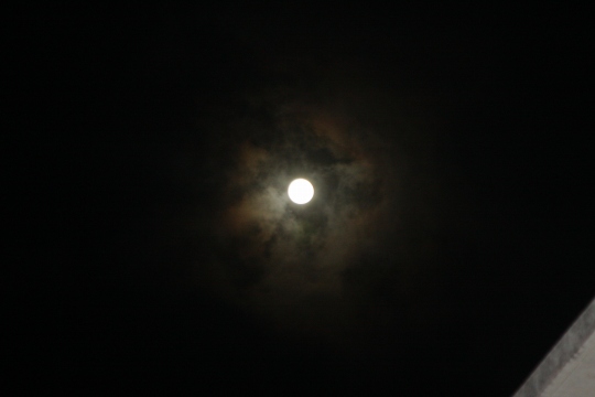 b0115085_724192.jpg