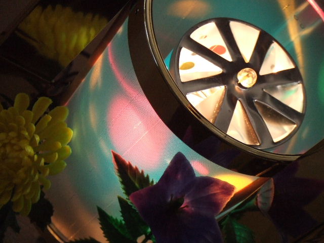 e0032488_1403027.jpg