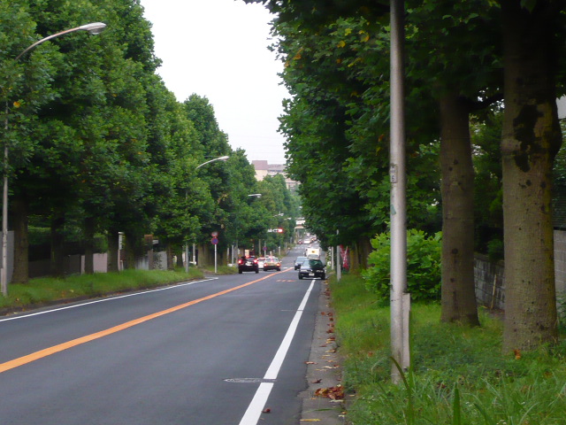 d0087091_2272712.jpg