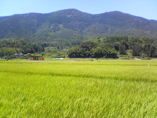 b0154394_1042353.jpg