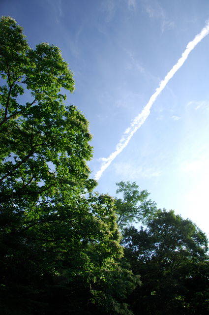 c0134295_233502.jpg