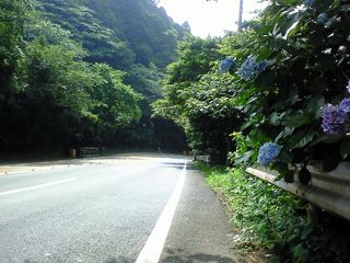 d0010496_2183020.jpg