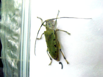 e0083097_2162715.jpg