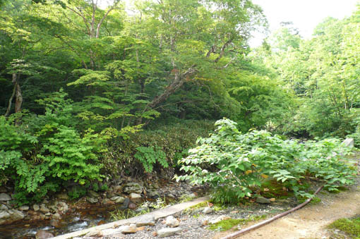 e0054299_17242596.jpg