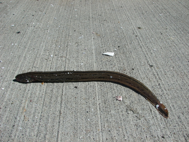f0020302_204562.jpg