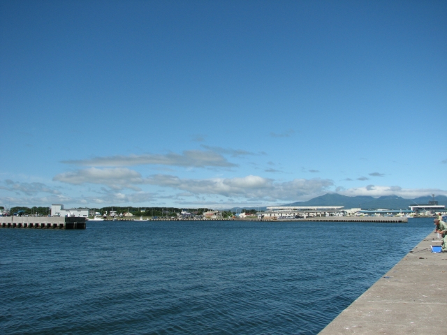 f0020302_20465891.jpg