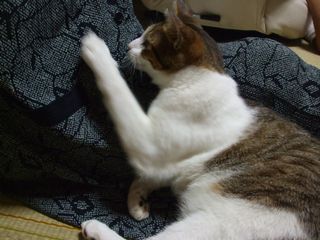 c0103205_21184465.jpg