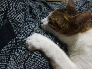 c0103205_21205733.jpg
