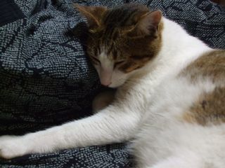 c0103205_21221635.jpg