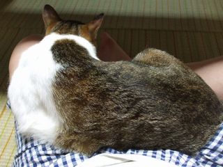 c0103205_21282844.jpg