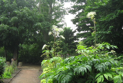 f0041606_19582765.jpg