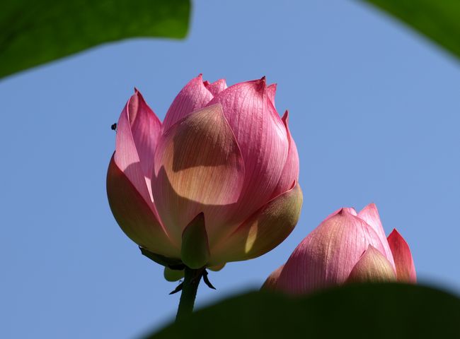 d0129108_117567.jpg