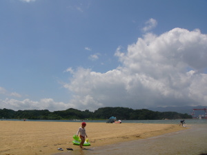 b0003613_17405015.jpg
