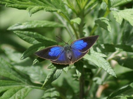 c0042418_7492868.jpg