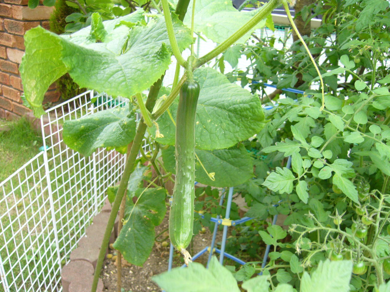 f0135021_17165614.jpg