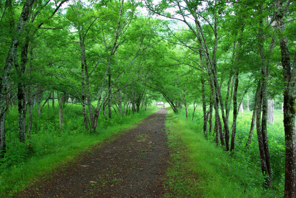 b0062024_11494635.jpg