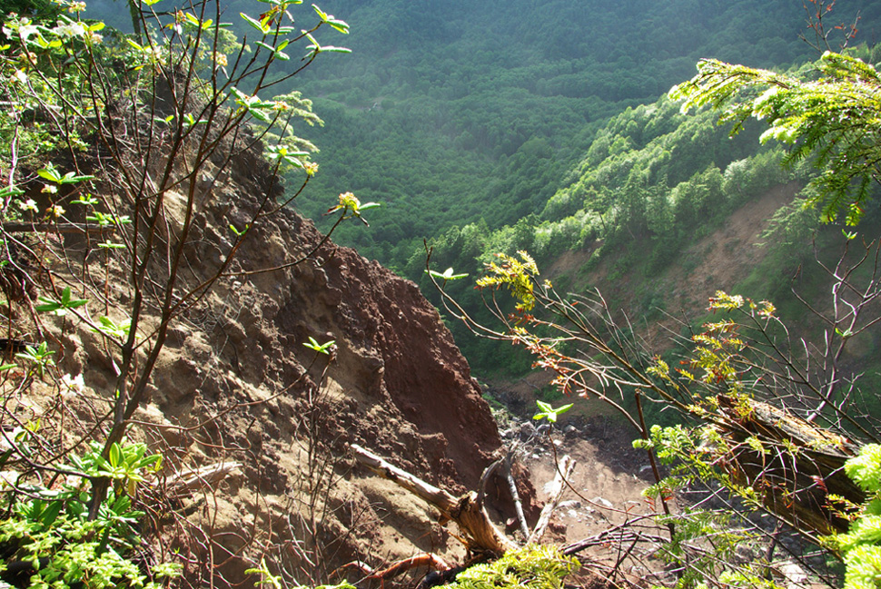 b0062024_1211448.jpg