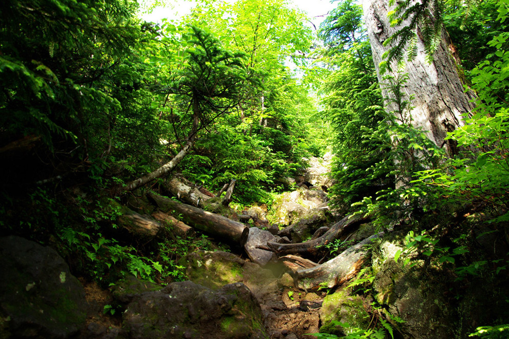 b0062024_12133753.jpg