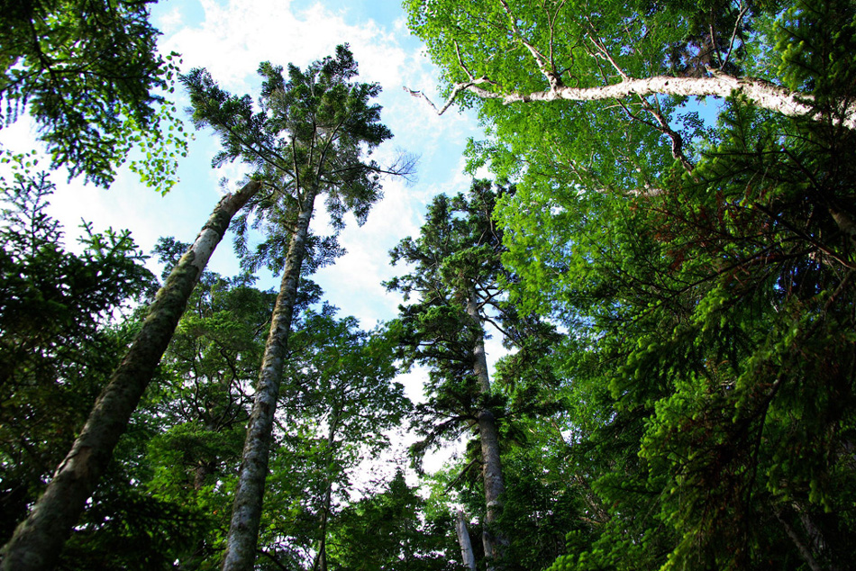 b0062024_12344675.jpg
