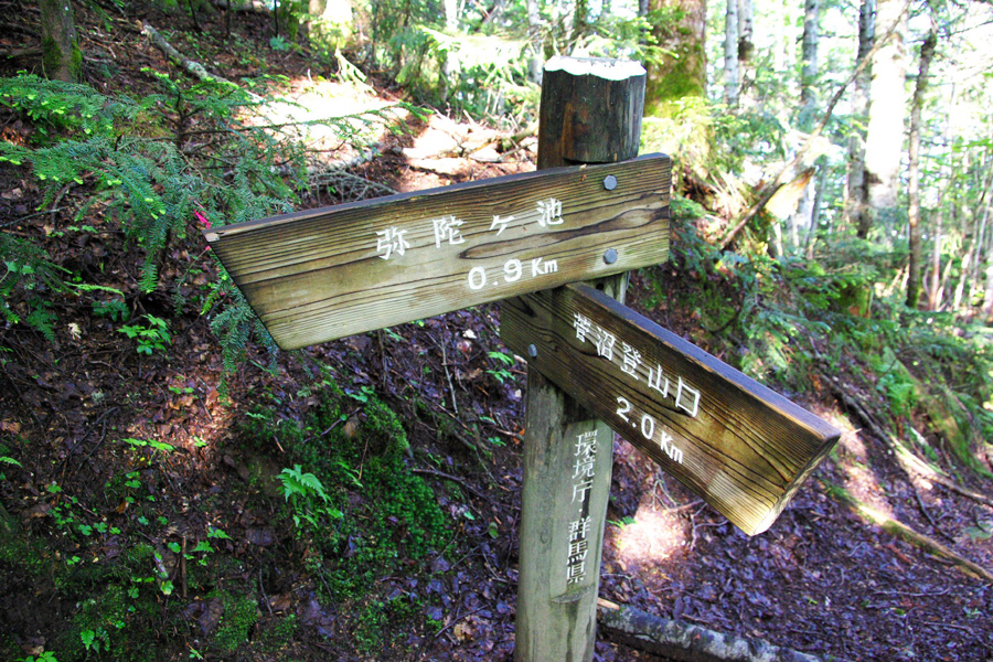 b0062024_12372521.jpg
