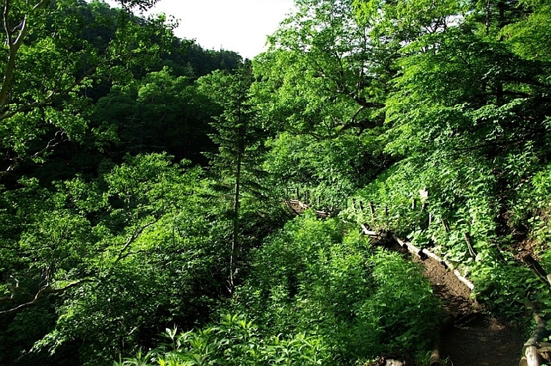 b0062024_12435075.jpg