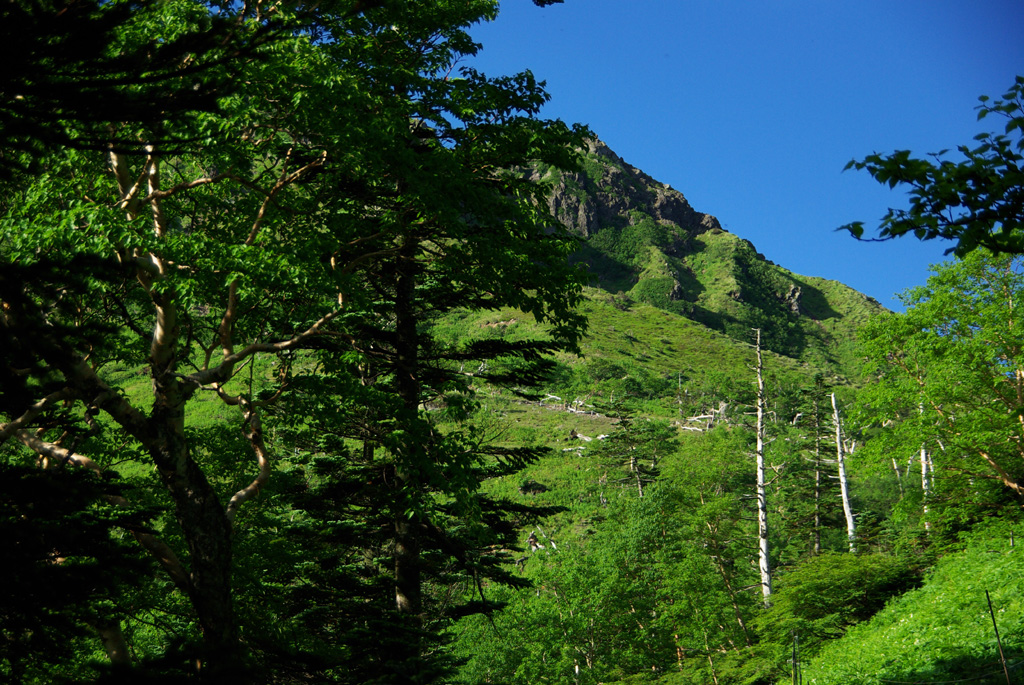 b0062024_12451922.jpg