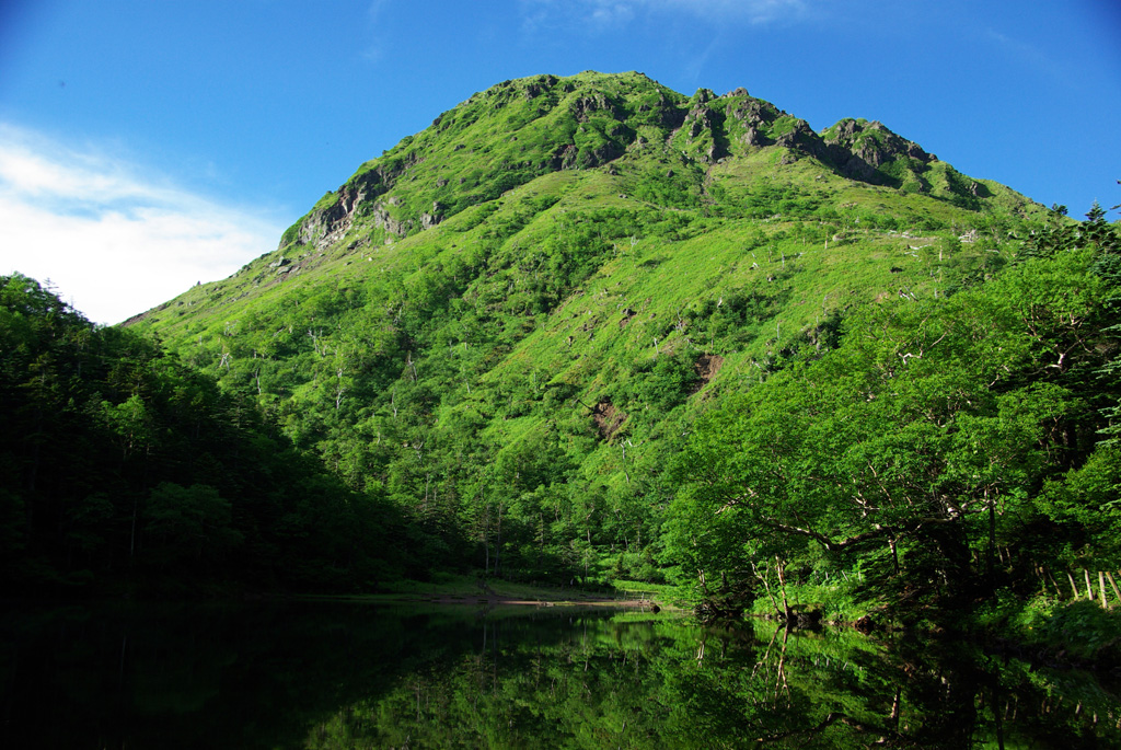 b0062024_12465085.jpg