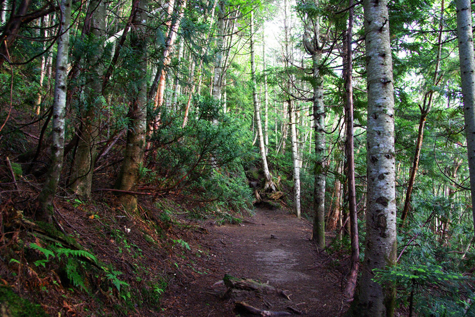 b0062024_1274032.jpg
