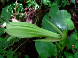 f0147025_23263338.jpg