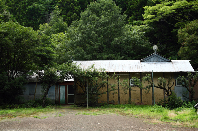 d0147530_5552583.jpg