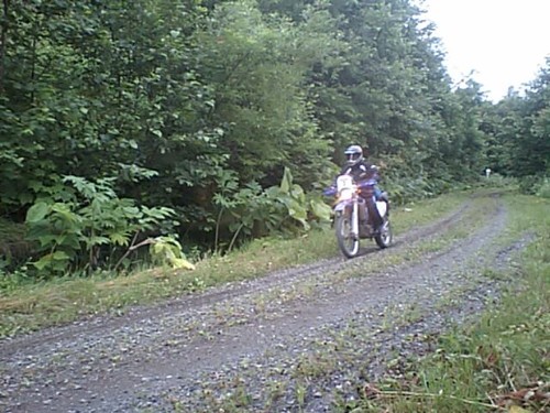 f0118335_716761.jpg