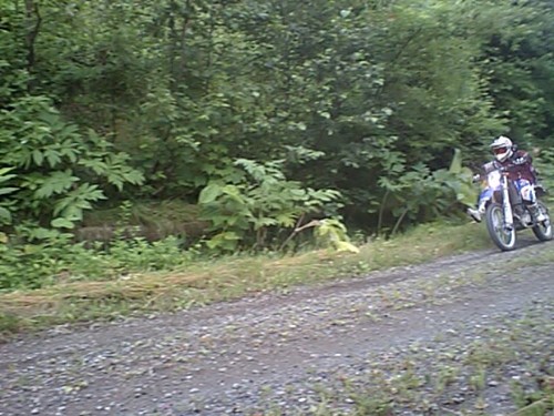 f0118335_717376.jpg