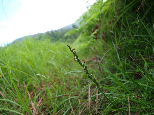 c0072843_20132123.jpg