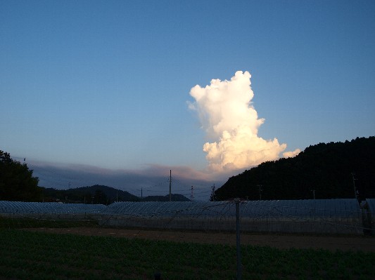c0072843_20133930.jpg