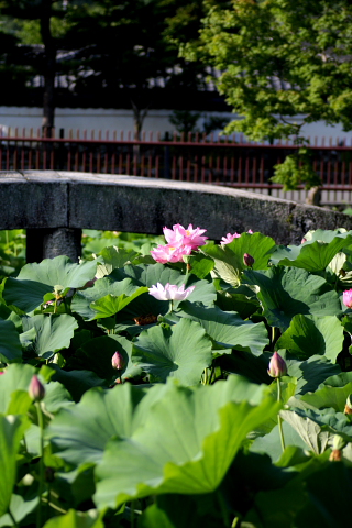 a0024250_2123048.jpg