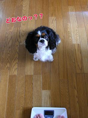c0145250_10521033.jpg