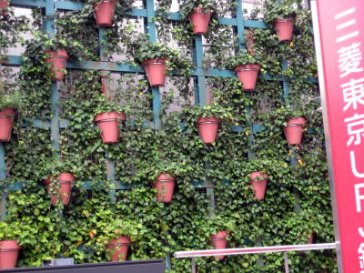 c0147952_15274432.jpg