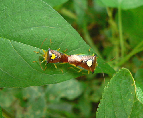 d0091754_113848.jpg