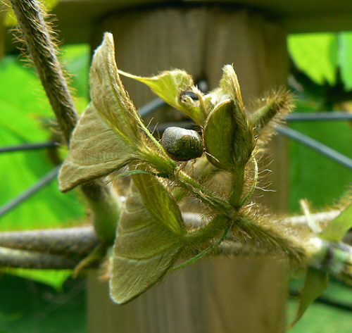 d0091754_18113140.jpg