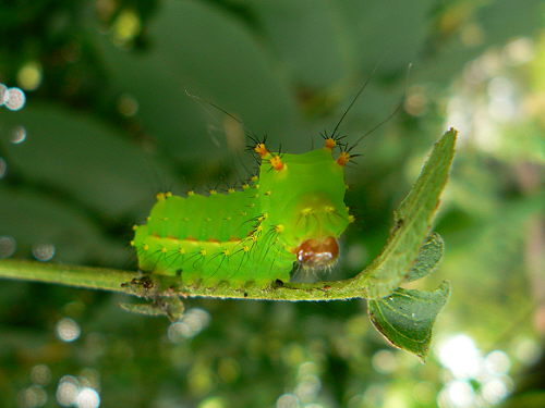 d0091754_18283342.jpg