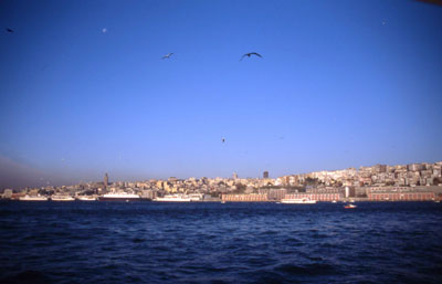 b0132755_23505816.jpg
