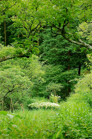 f0176458_1029216.jpg