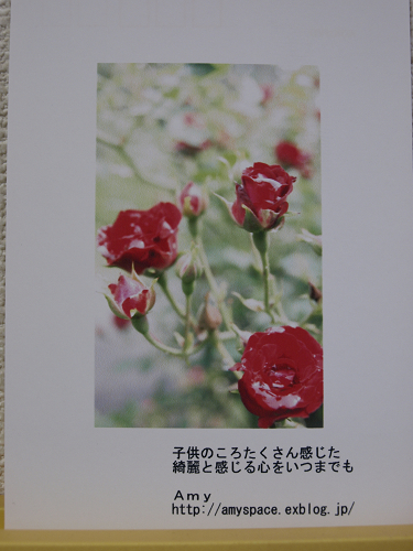 c0077361_10335279.jpg