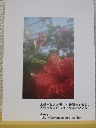 c0077361_103574.jpg