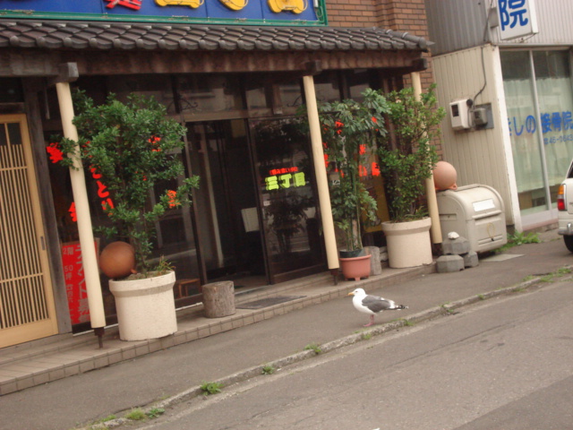 f0132565_1041459.jpg