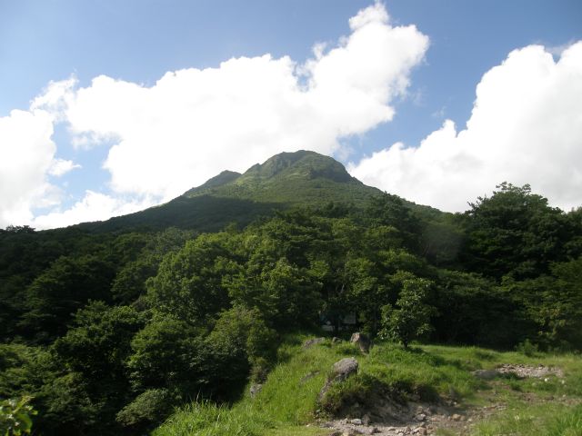c0042869_221644.jpg