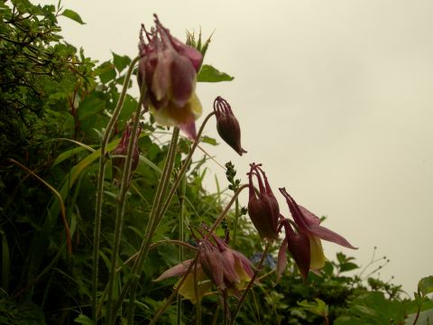 c0042869_2223713.jpg