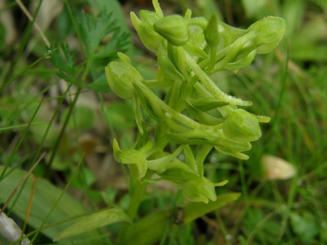 c0042869_2225915.jpg