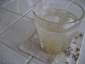 f0161669_1840187.jpg